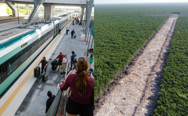 Daños Tren Maya