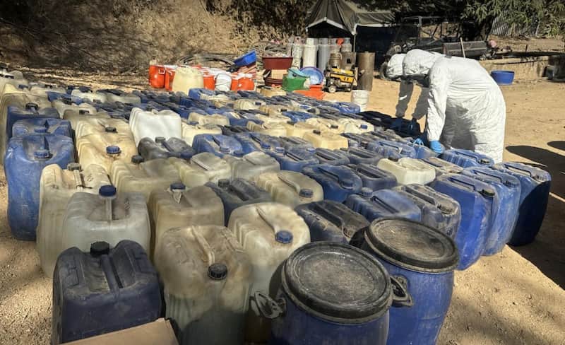 desmantelaron laboratorios clandestinos elementos de seguridad en durango