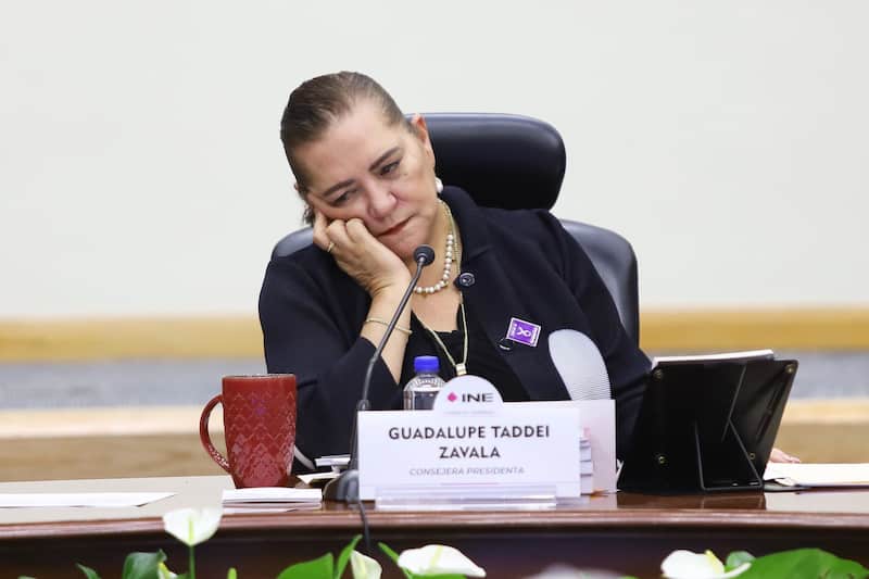 Guadalupe Taddei, consejera presidenta del INE Guadalupe Taddei, consejera presidenta del INE, habla sobre la reforma electoral