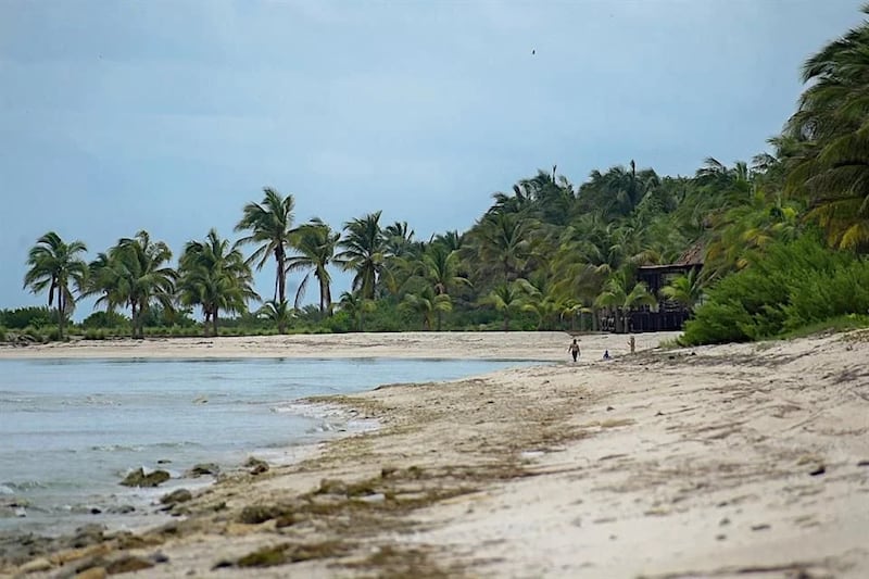 Playa 'Alito'