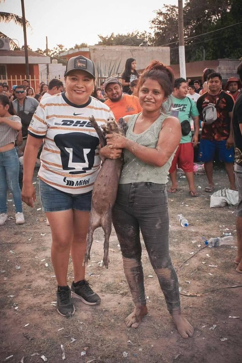 Diputada Mayda Mas Tun maltrata animales